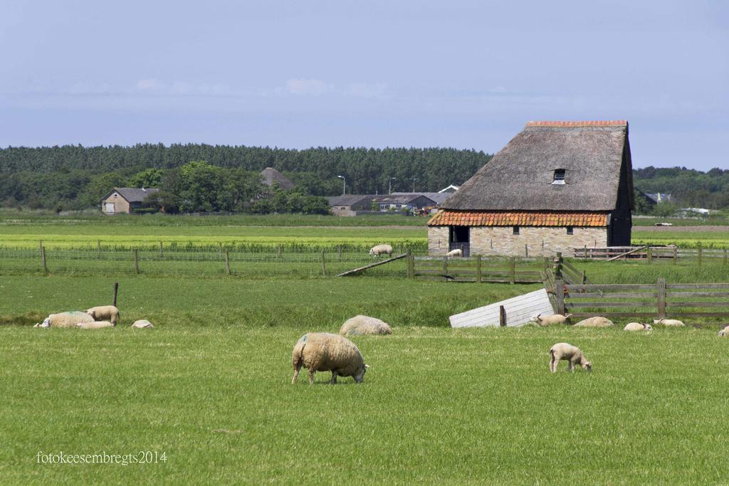 Vakantiepark Dennenoord Ден-Бург Экстерьер фото